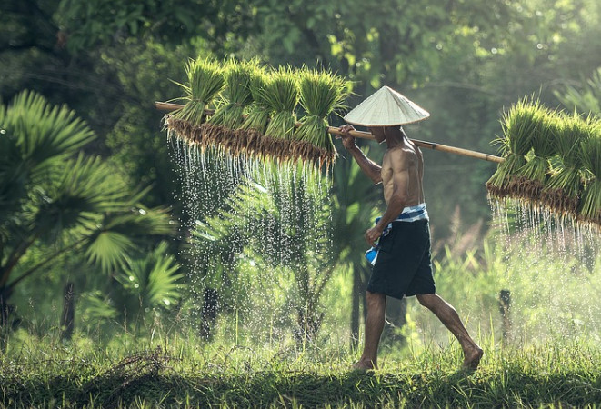 農產品電商帶貨短視頻營銷 農產品電商帶貨短視頻營銷