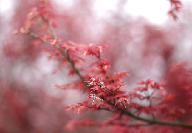 農(nóng)產(chǎn)品短視頻營(yíng)銷策劃 農(nóng)產(chǎn)品短視頻營(yíng)銷策劃