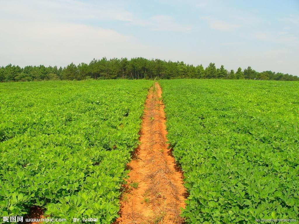 農(nóng)業(yè)品牌營銷 農(nóng)業(yè)品牌營銷