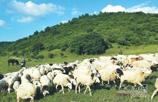 農(nóng)業(yè)品牌策劃,農(nóng)業(yè)品牌策劃公司 農(nóng)業(yè)品牌策劃,農(nóng)業(yè)品牌策劃公司