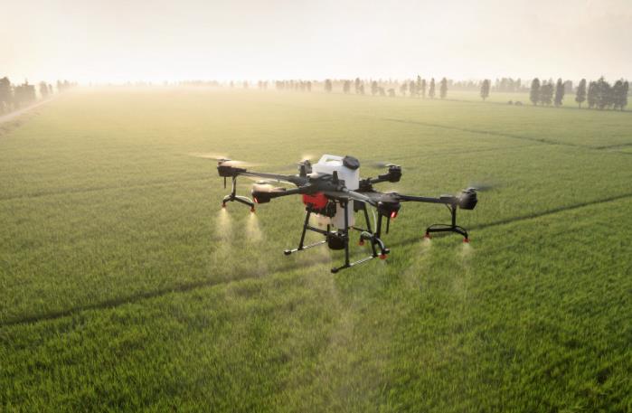 農(nóng)業(yè)發(fā)展戰(zhàn)略策劃 農(nóng)產(chǎn)品品牌策劃設計公司