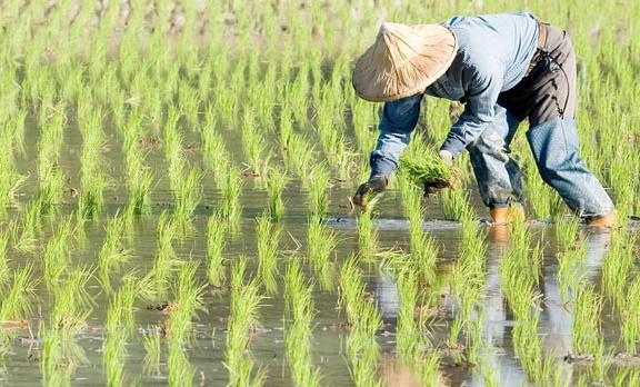 微信截圖_20210106183700.jpg 微信截圖_20210106183700.jpg