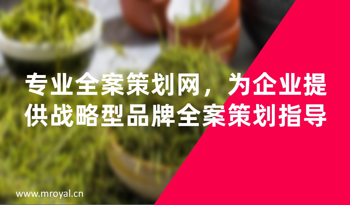 專業(yè)全案策劃網(wǎng)，為企業(yè)提供戰(zhàn)略型品牌全案策劃指導
