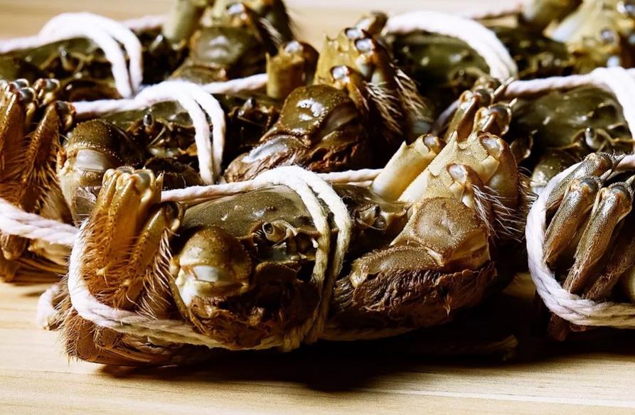 陽(yáng)澄湖大閘蟹品牌全案策劃 陽(yáng)澄湖大閘蟹品牌全案策劃