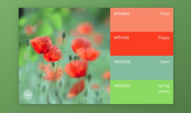 品牌全案設(shè)計師如何找到完美的色彩組合