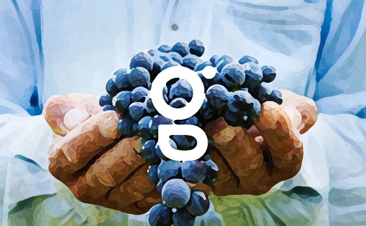 農業(yè)品牌VI設計提升農業(yè)企業(yè)競爭力