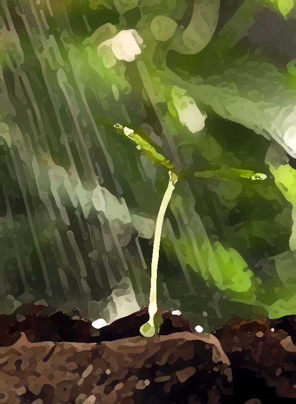 農業(yè)公司品牌提升策劃，實現(xiàn)農業(yè)垂直一體化