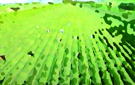 農業(yè)品牌提升機構，促進農業(yè)農村經濟轉型