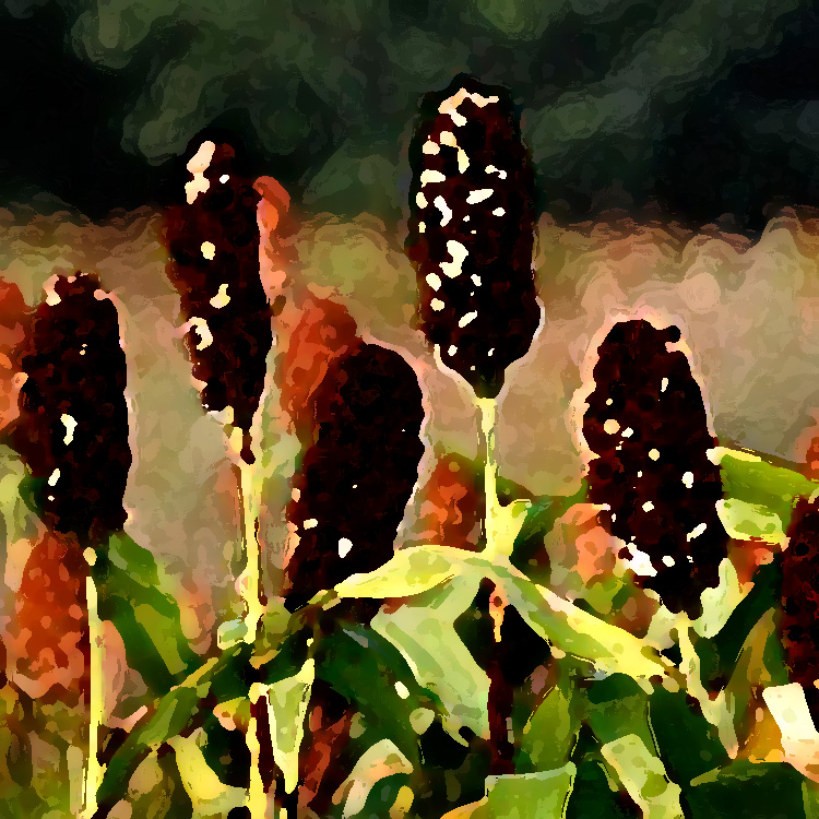 農業(yè)老品牌提升，讓品牌強起來