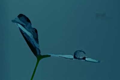 餐飲品牌設(shè)計(jì)的突破點(diǎn)有哪些？