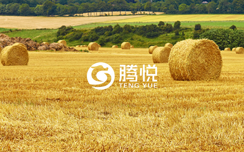 肥料品牌策劃，騰悅肥料