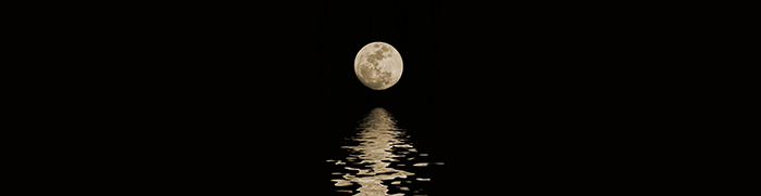 高端餐飲品牌設(shè)計