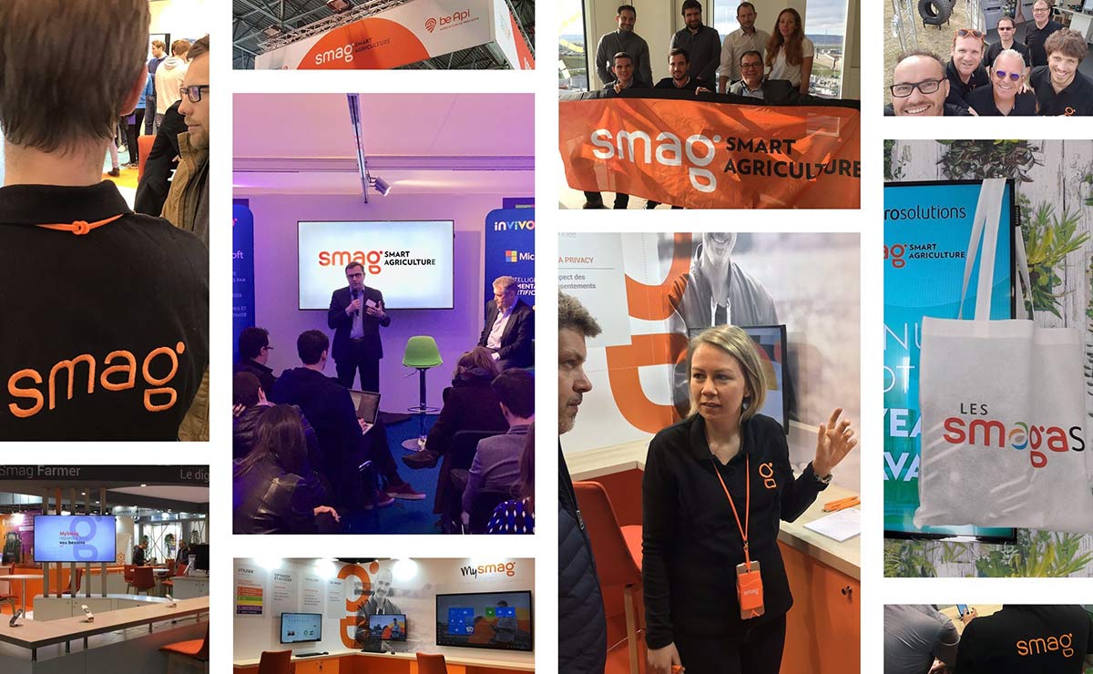 農(nóng)業(yè)品牌設(shè)計 農(nóng)業(yè)品牌設(shè)計