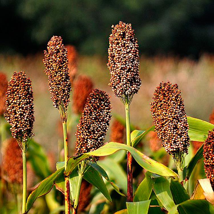 wKhQpFXC21eECrn0AAAAAEg44SI808.jpg wKhQpFXC21eECrn0AAAAAEg44SI808.jpg