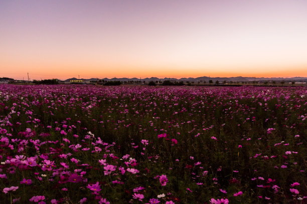 t014343ab5719fc0bb3.jpg t014343ab5719fc0bb3.jpg