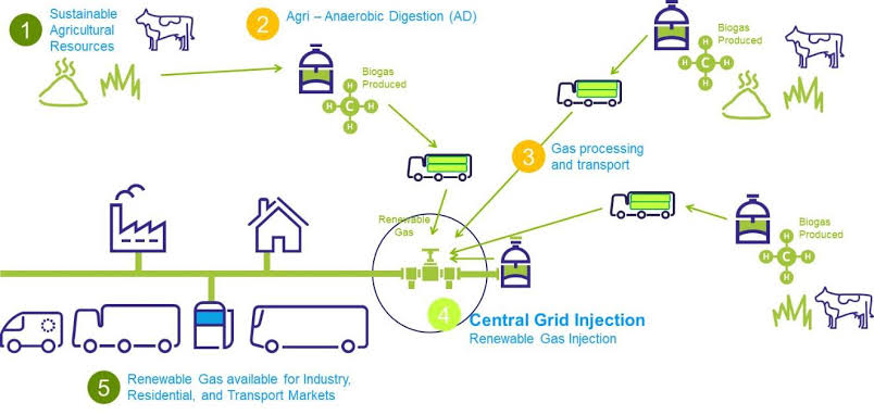 家庭農(nóng)場創(chuàng)業(yè)計劃書
