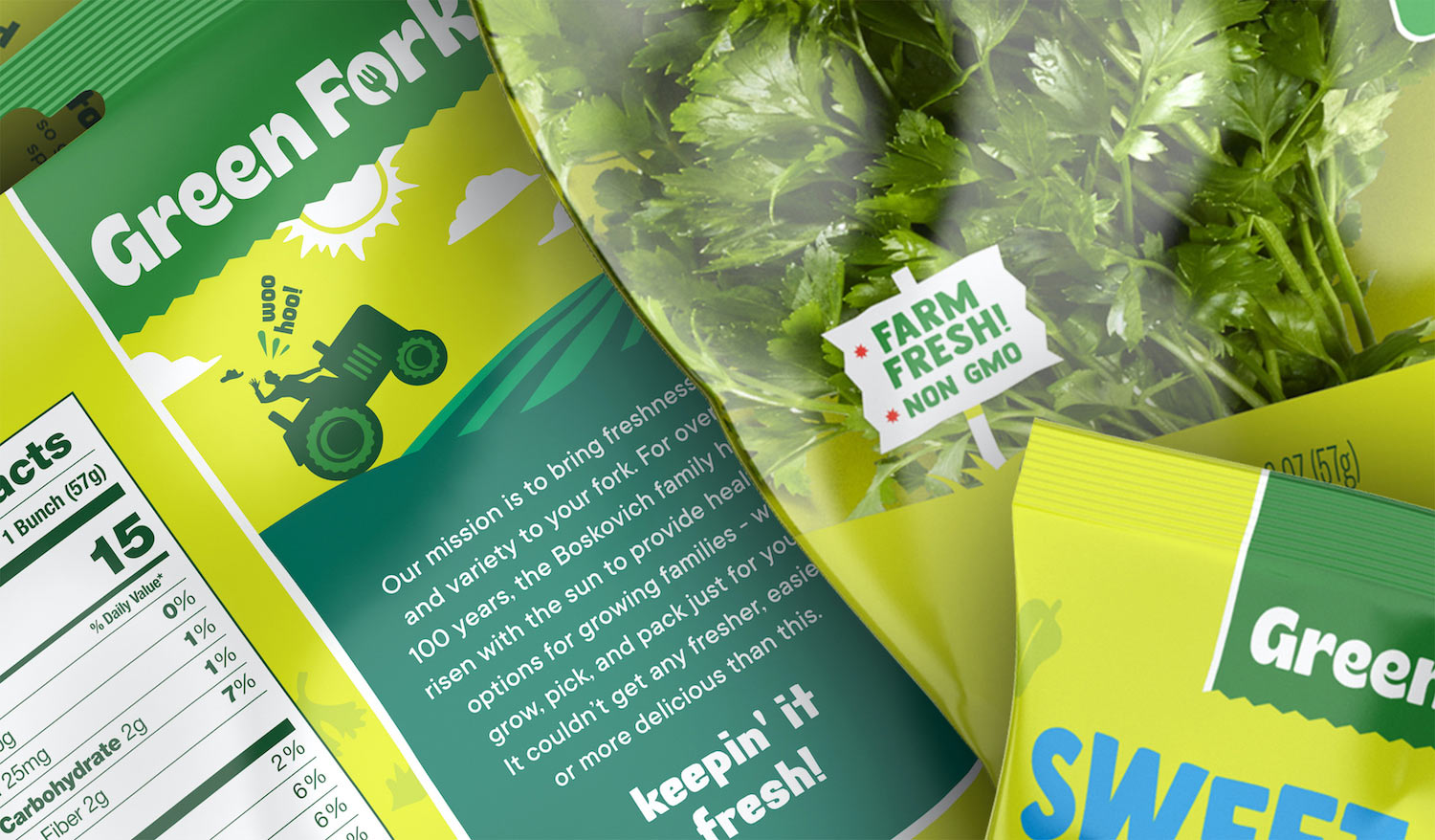 凈菜包裝設(shè)計(jì)