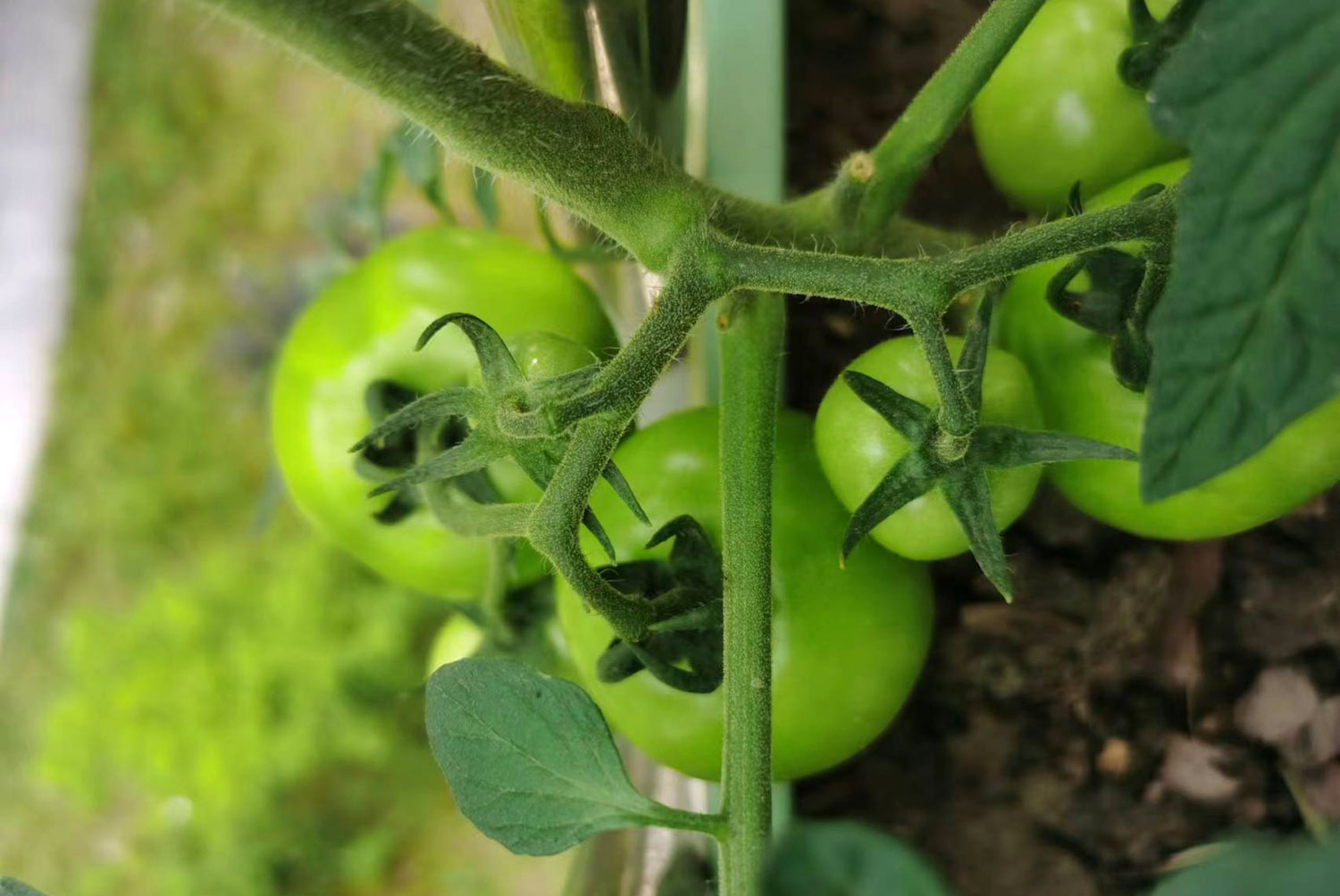 農(nóng)產(chǎn)品公司如何策劃有競爭力的品牌定位 農(nóng)產(chǎn)品公司如何策劃有競爭力的品牌定位