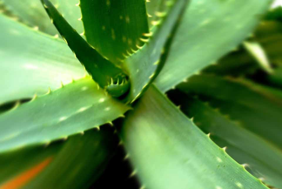 未標題-2.jpg 未標題-2.jpg