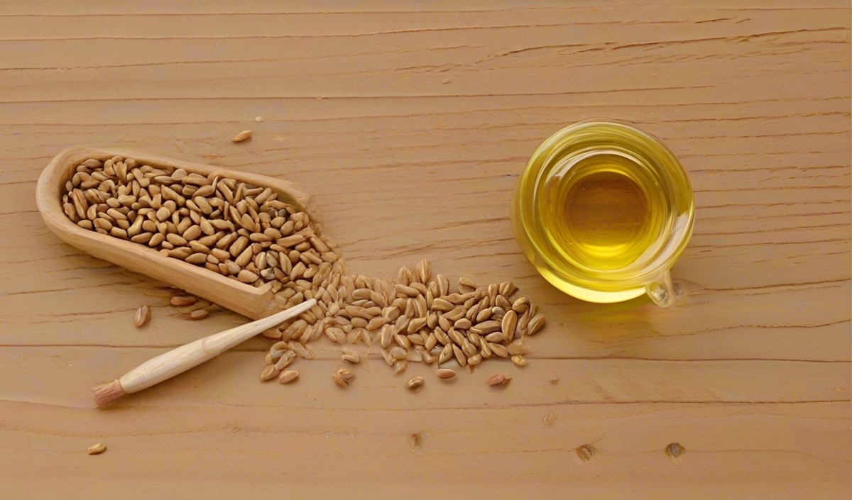 美御品牌全案策劃深度分析亞麻籽油行業(yè)的品牌策劃思路 美御品牌全案策劃深度分析亞麻籽油行業(yè)的品牌策劃思路