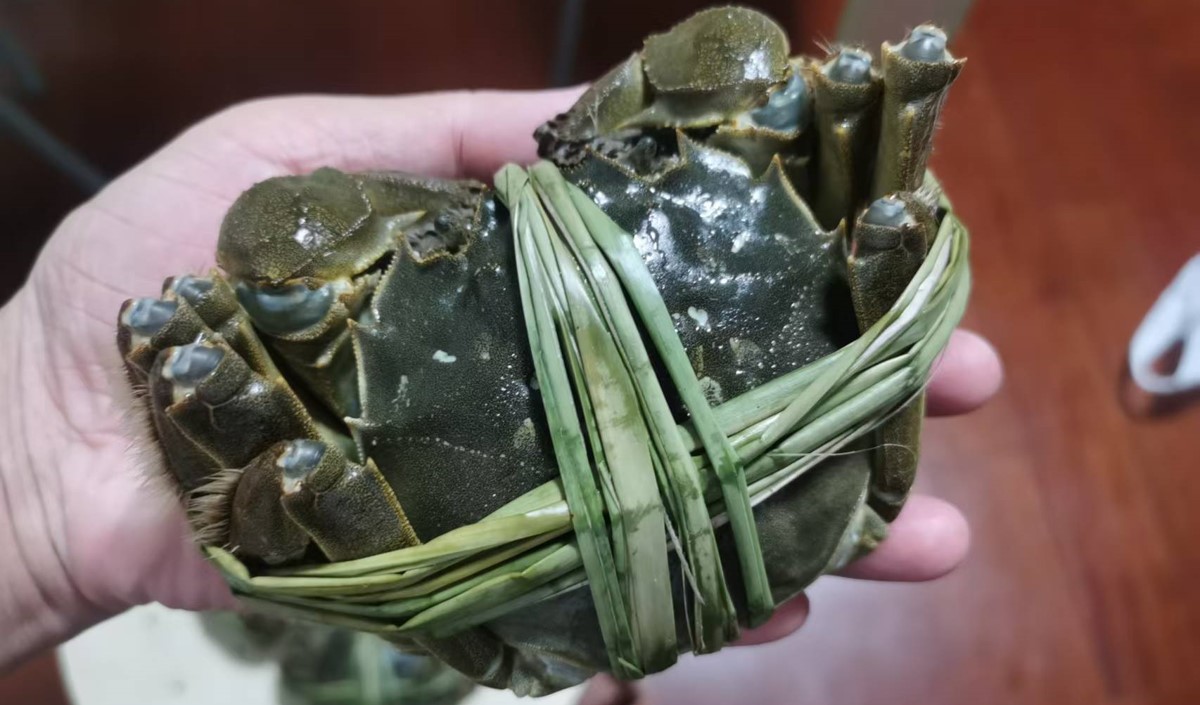 中秋節(jié)前的大閘蟹品牌營銷策劃方案 中秋節(jié)前的大閘蟹品牌營銷策劃方案