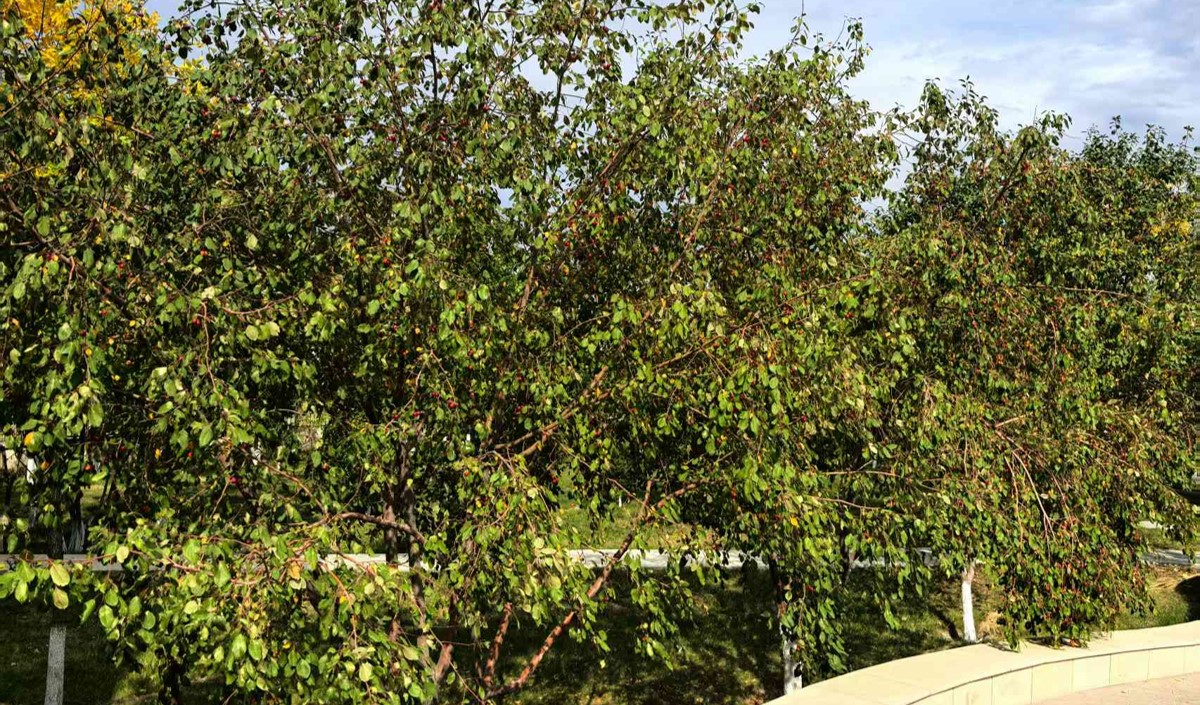 品牌策劃公司能給農(nóng)業(yè)公司帶來(lái)哪些價(jià)值