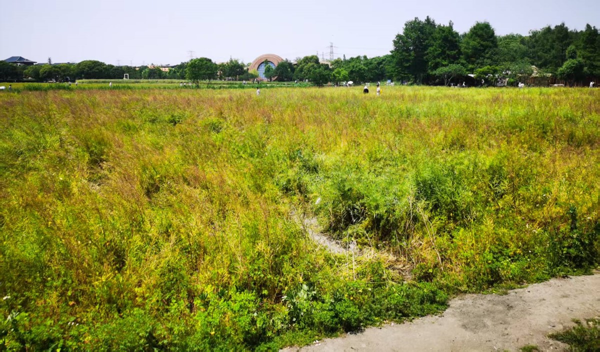 近郊農業(yè)公司如何打造高端現(xiàn)代農業(yè)品牌？